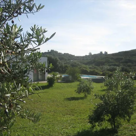 Dionysus * Argostoli (Kefalonia)
