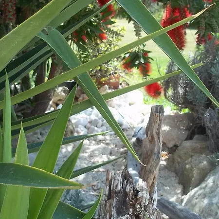 Willa Dionysus Argostoli (Kefalonia)