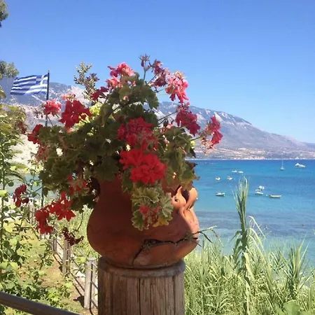 Dionysus * Argostoli (Kefalonia)